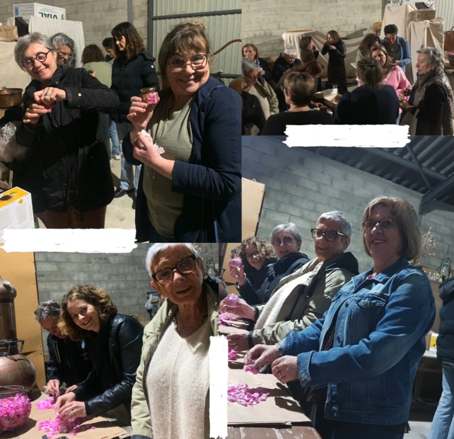 Atelier-récolte Regard Ô Féminin « A la découverte de la Rose de Damas » chez Virginie Bruguier  