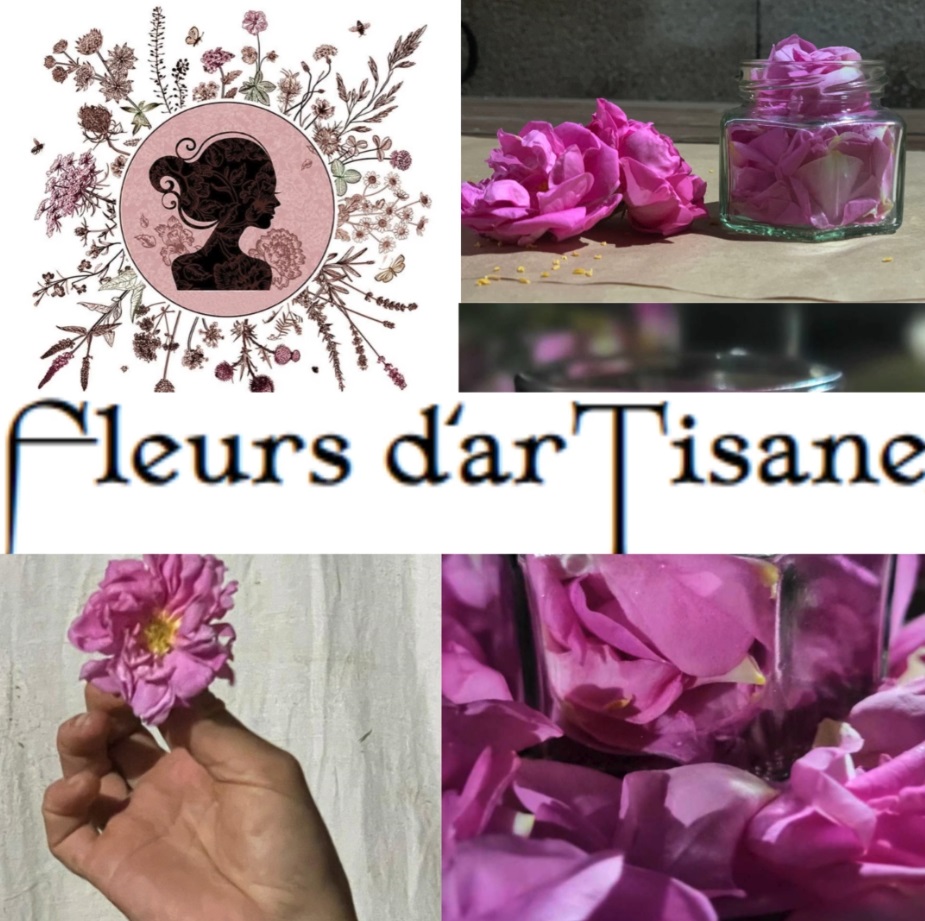 Atelier-récolte Regard Ô Féminin « A la découverte de la Rose de Damas » chez Virginie Bruguier  